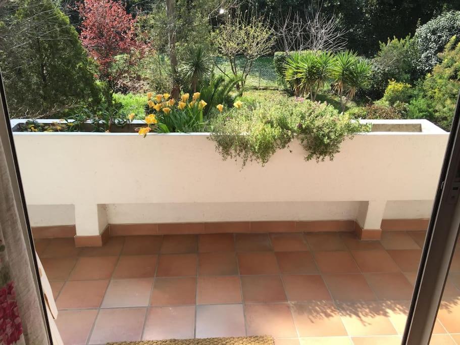 Les Collines D'Estanove, Charming, Bright, Calm Place With Pool Montpellier Ngoại thất bức ảnh